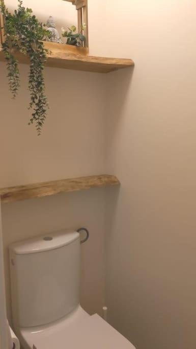 Maison Au Calme Avec Jardin Et Parking Prive Ferienhaus Rouairoux